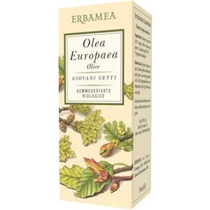 Olea Europea